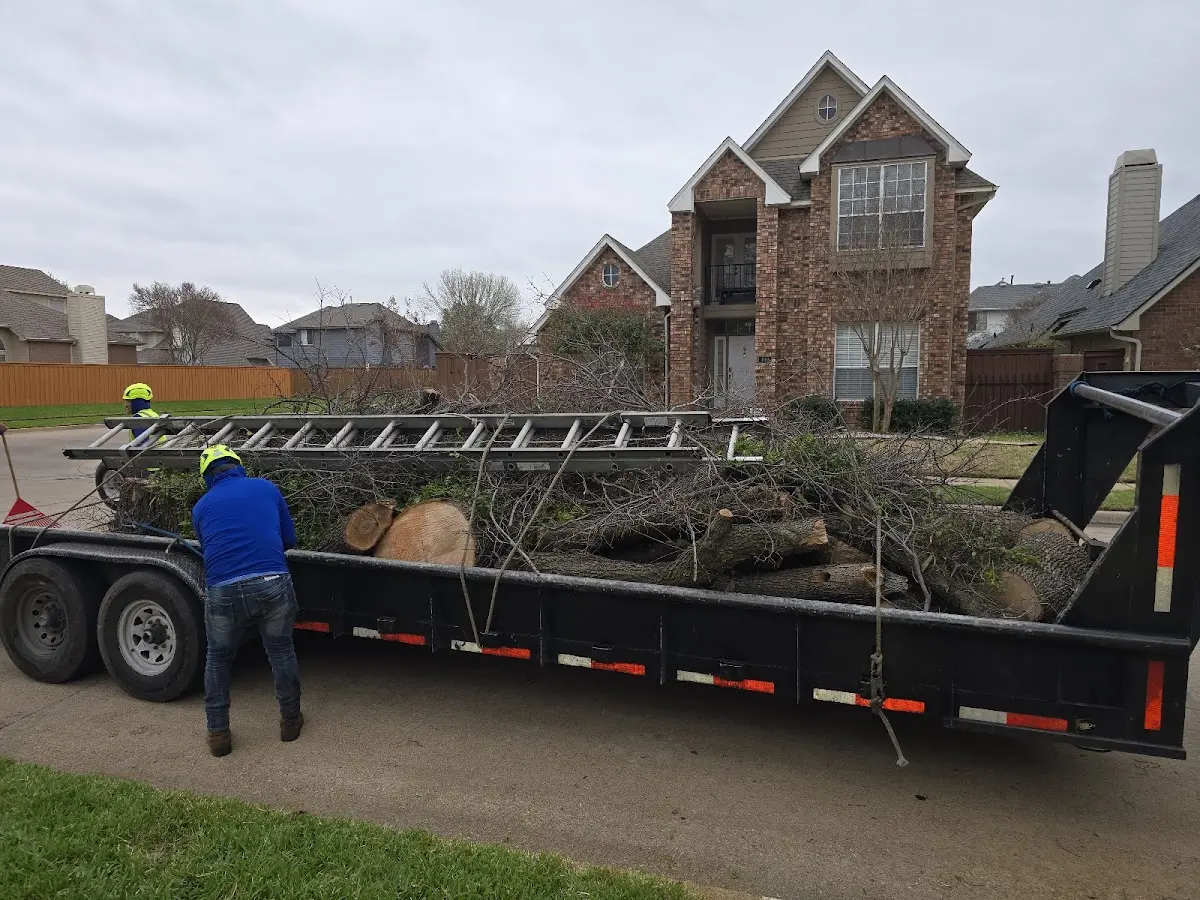 Expert Lot Clearing with proper safety equipment in Reddell